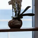 The View Gardenia 公寓 *