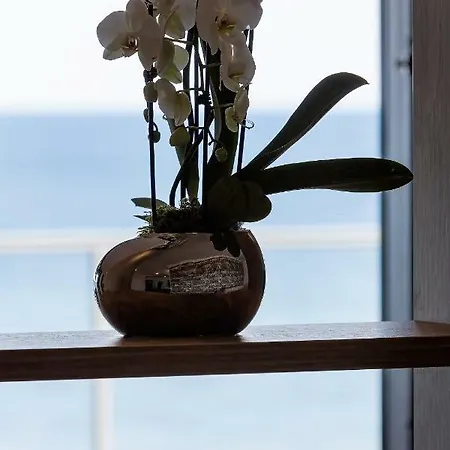 The View Gardenia Apartmán *