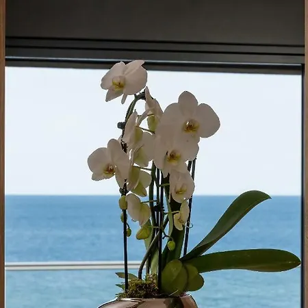 The View Gardenia Dziwnów