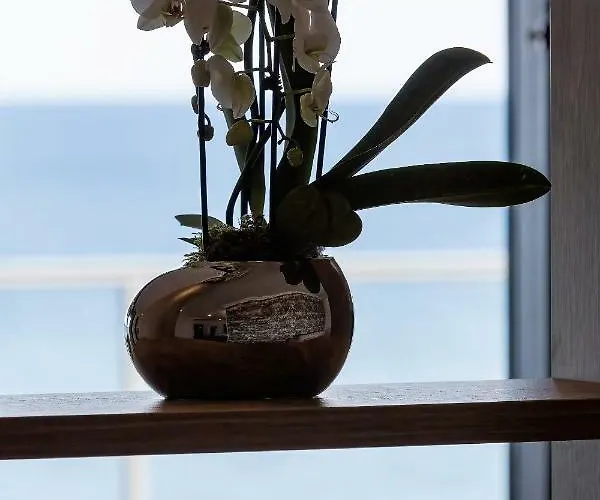 The View Gardenia アパート *