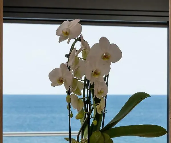 The View Gardenia Dziwnów